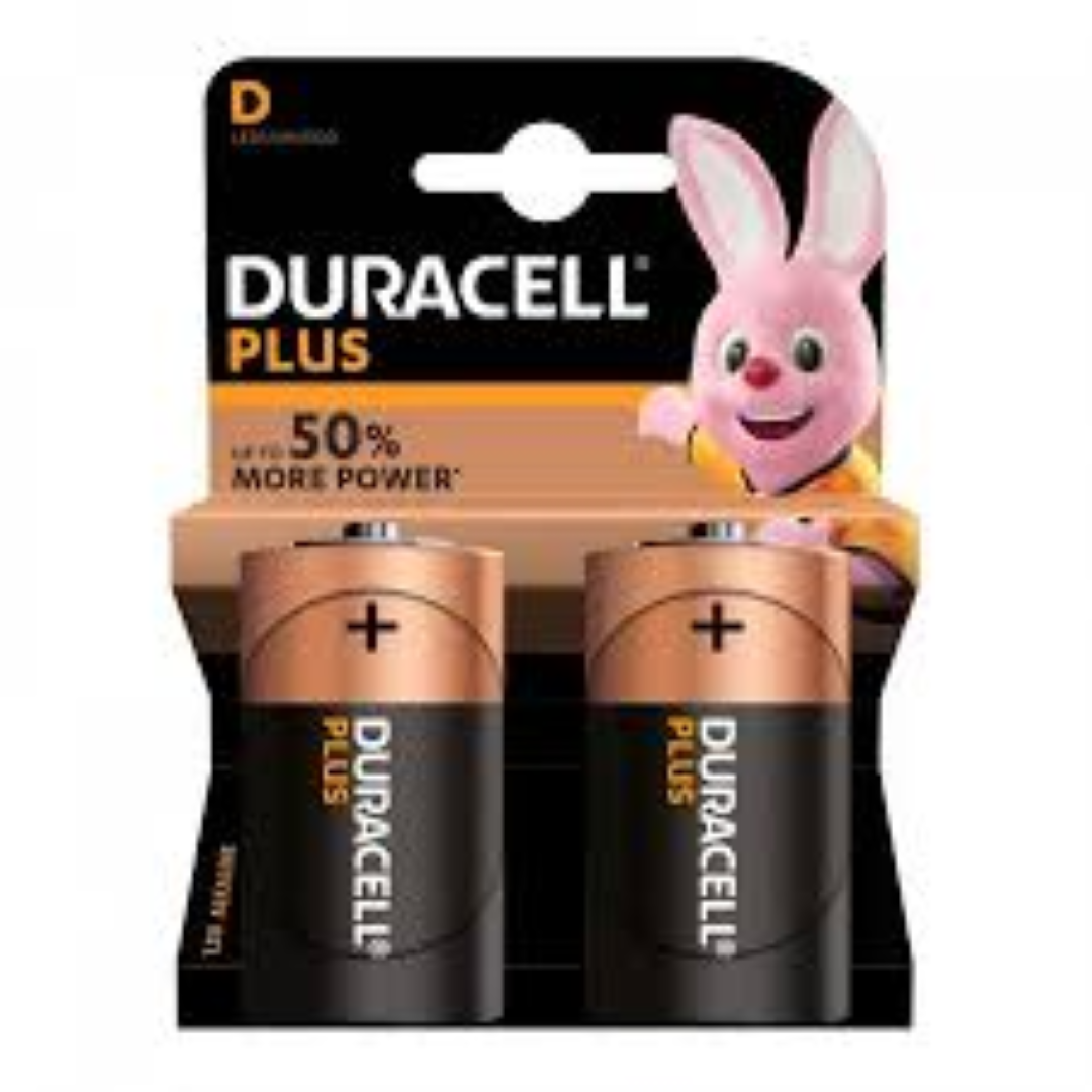 DURACELL MN 1300 10X2(D)